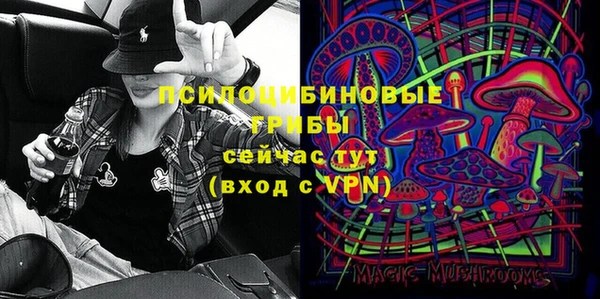 шишки Алексин