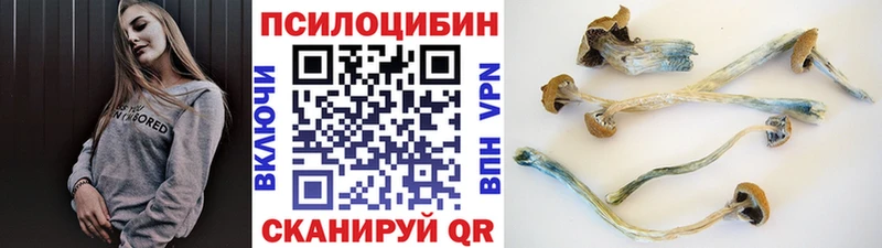 Галлюциногенные грибы Magic Shrooms  Норильск 