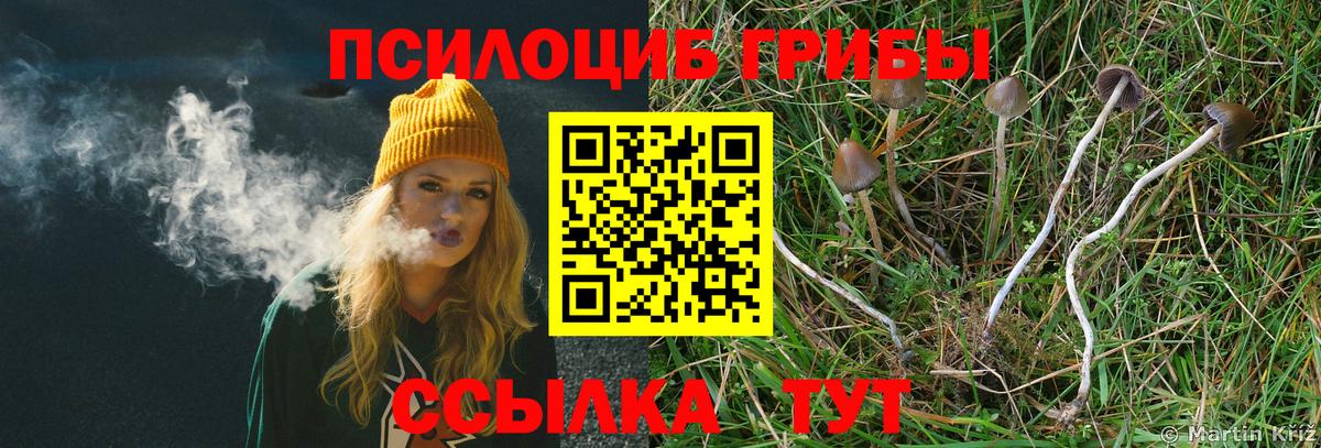 Псилоцибиновые грибы ЛСД Норильск