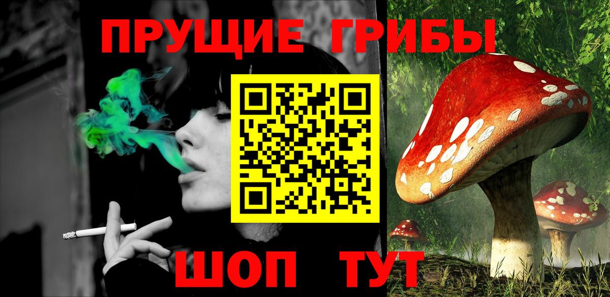 Галлюциногенные грибы Psilocybe  магазин продажи наркотиков  Вход с VPN  Норильск  Галлюциногенные грибы мицелий 